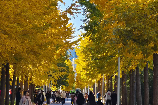 规范幼儿园收费！三部门印发《关于完善幼儿园收费政策的通知》